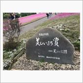 市貝町芝ざくら公園
