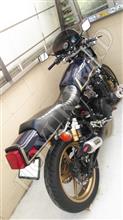 NO BIKE NO LIFE
