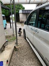 キズ消し