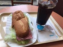 緑濃い季節になってきて