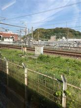 お嬢と合流して