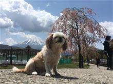 お見送り