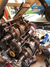 RZVの復活に向けて その22