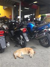 モンちゃんとバイク屋わんこ モンちゃんとバイク屋わんこ