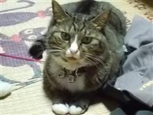 今週も仕事無事に終わりました。