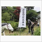 関ヶ原～彦根探訪