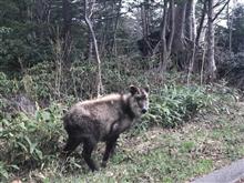 温泉巡り