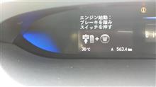 今日もマジで暑いですね