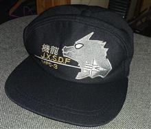 機龍隊、帽子購入
