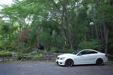 C63、久々の遠出ドライブ(茶臼山芝桜編) C63、久々の遠出ドライブ(茶臼山芝桜編)