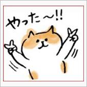 改良😅ｖ　ぶっかけ式　ざる ...