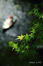 阿蘇~高千穂峡の旅 阿蘇~高千穂峡の旅