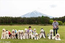 富士・箱根放浪旅　～ミニオフ会編～