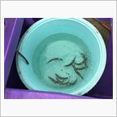 豊潤な鹿島灘で根魚釣りの巻🎶
