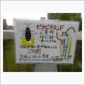 意外に清流なのかも