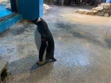 あははは・・今更ですけど・・② あははは・・今更ですけど・・②