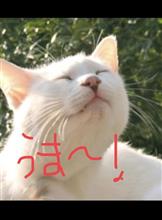 目くそと鼻くそのレクイエム