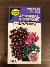 カーポートでぶどう栽培(ジベレリン処理)