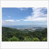 海