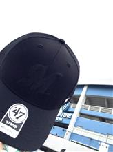プロ野球観戦　