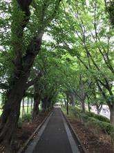 散歩