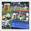 野球観戦（横浜DeNA vs埼玉西武）