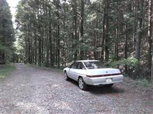 【 S I A 】アルシオーネVX車検に伴うメンテ記録　最終回　
