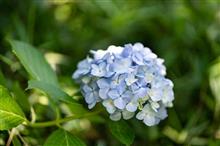 写活　と　写真現像環境のパワーアップ　Part3