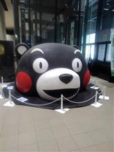 本日の出先～～