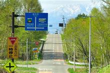 令和最初は北海道へお花見② 北海道道291号吹上上富良野線など (2019 .5) 令和最初は北海道へお花見② 北海道道291号吹上上富良野線など (2019 .5)