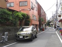 昼下がりの街、クーガがいる