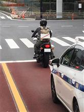 仮ナンバー人間・・・・・