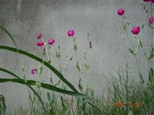 🌸　パープル