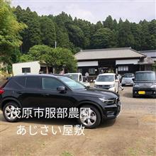XC40と紫陽花(あじさい)屋敷へ XC40と紫陽花(あじさい)屋敷へ