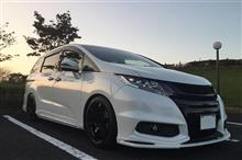 ★スノーホワイト、いいよね~が続いて★ ★スノーホワイト、いいよね~が続いて★