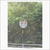 本日も