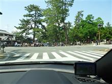 土曜日：奈良公園