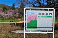 一目千本桜 みんカラ 車 自動車sns ブログ パーツ 燃費 整備