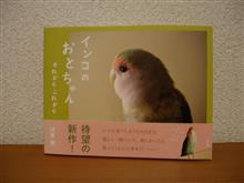 本：インコのおとちゃん ～それから、これから～