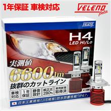  REIZ TRADING　総額100万円！！！　モニターキャンペーン♪♪♪　第2弾！