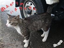 雨の止み間に｡｡