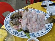 天天海鮮