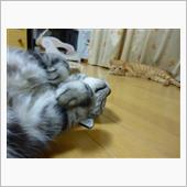 蒸し暑いね(+_+)