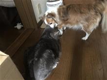 感謝と共に前へ 感謝と共に前へ