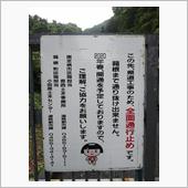嵐の林道ドライブ？