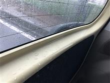 雨漏り？してたよ
