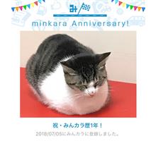 祝・みんカラ歴1年！