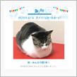 祝・みんカラ歴1年！