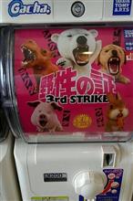 野生の証
