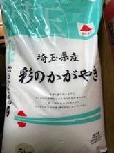 太陽の光 太陽の光